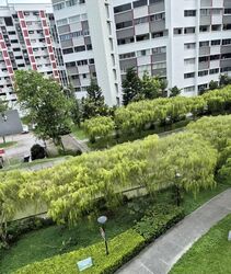 Blk 607 Clementi West Street 1 (Clementi), HDB 4 Rooms #554247191
